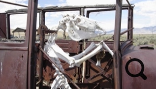 Lonely outside Great Basin National Park